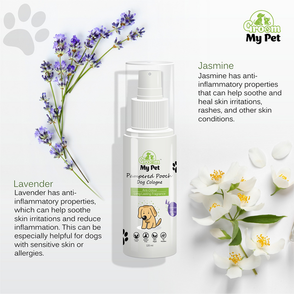 Groom My Pet Lavender and Jasmine Pampered Pooch Cologne for Dogs