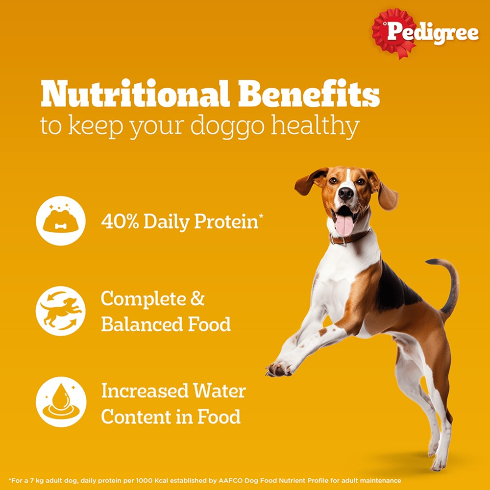 Pedigree Chicken and Liver Chunks in Gravy Adult Dog Wet Food (130g) Dogs-Wet Food Pedigree
