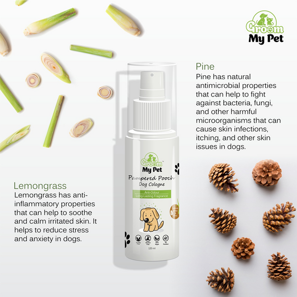 Groom My Pet Lemongrass & Pine Pampered Pooch Cologne for Dogs