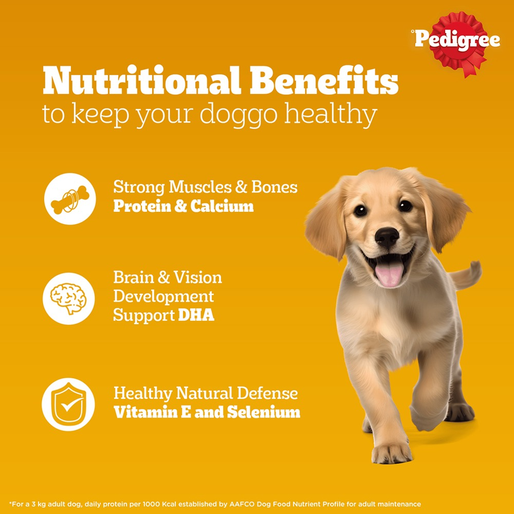 Pedigree Chicken and Liver Chunks in Gravy Pouch Puppy Dog Wet Food (130g)