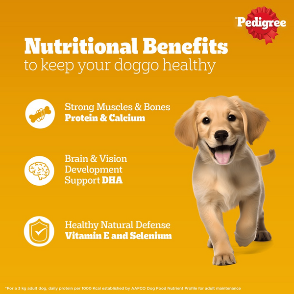 Pedigree Chicken and Liver Chunks in Gravy Pouch Puppy Dog Wet Food (130g)
