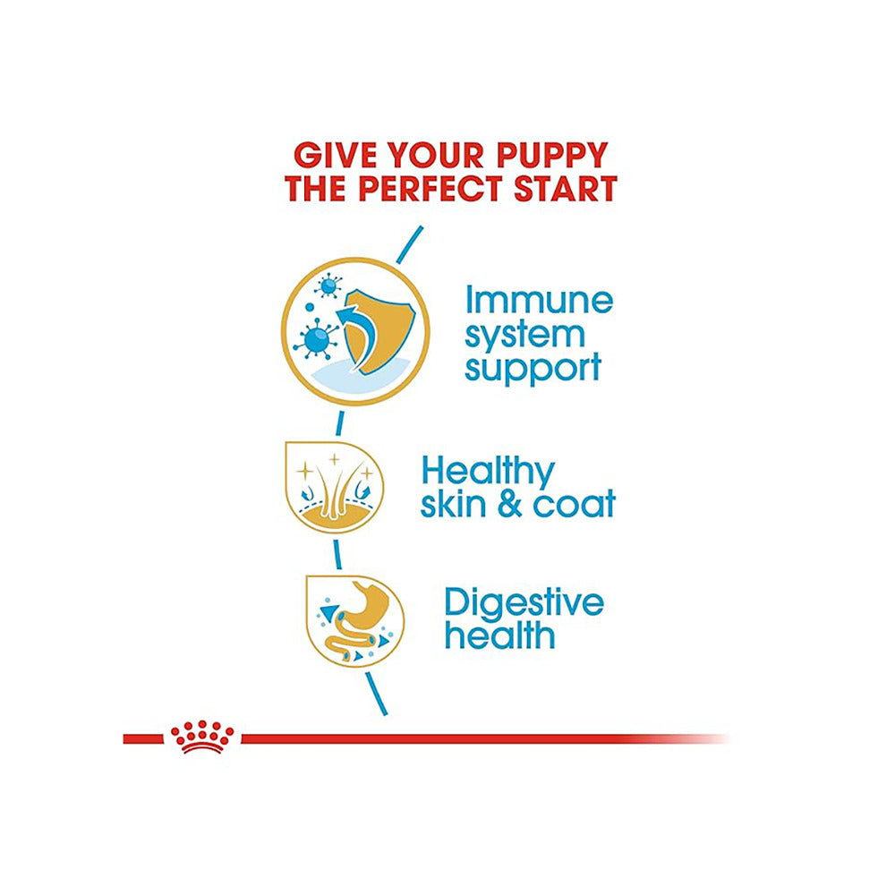 Royal Canin Golden Retriever Puppy Dog Dry Food