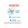 Royal Canin Mini Puppy Dog Wet Food Rewards Dogs-Wet Food Royal Canin