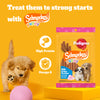 Pedigree Schmackos Stix Milk & Egg Flavour Puppy Dog Treat Dog Treats + Others Pedigree