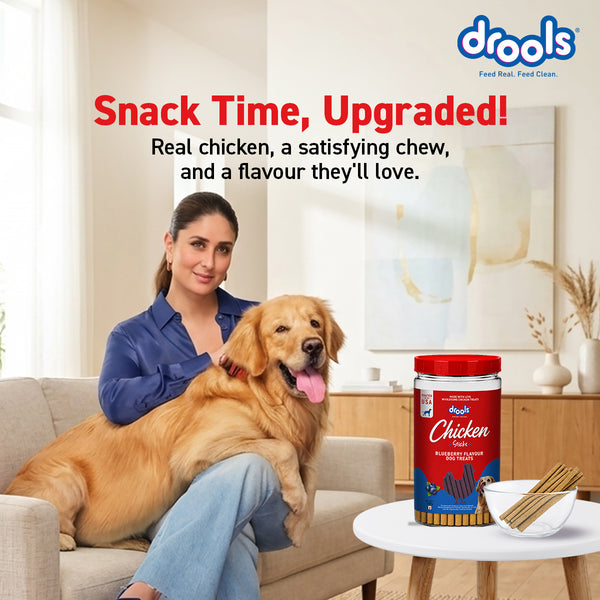 Drools Blueberry Flavour Chicken Sticks Treat for Dogs