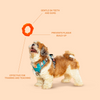 Kibbo Non Toxic Knotted Rubber Ring Chew Toy for Dogs and Cat (Orange) Both-Toys Kibbo