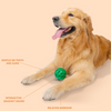 Kibbo Non Toxic Squeaky Rubber Ball Chew Toy for Dogs and Cat (Green) Both-Toys Kibbo