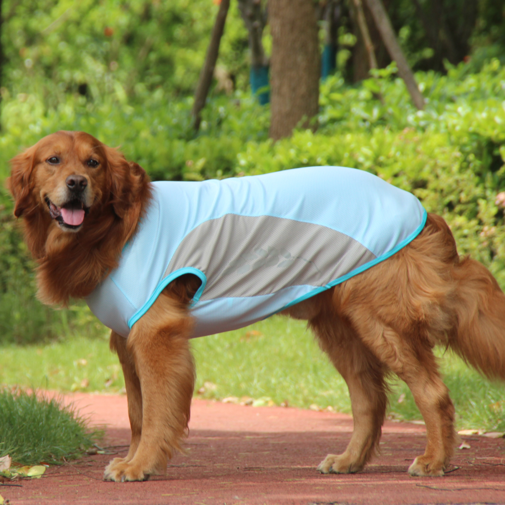 Talking Dog Club Coolios Cooling Vests for Dogs (Blue)