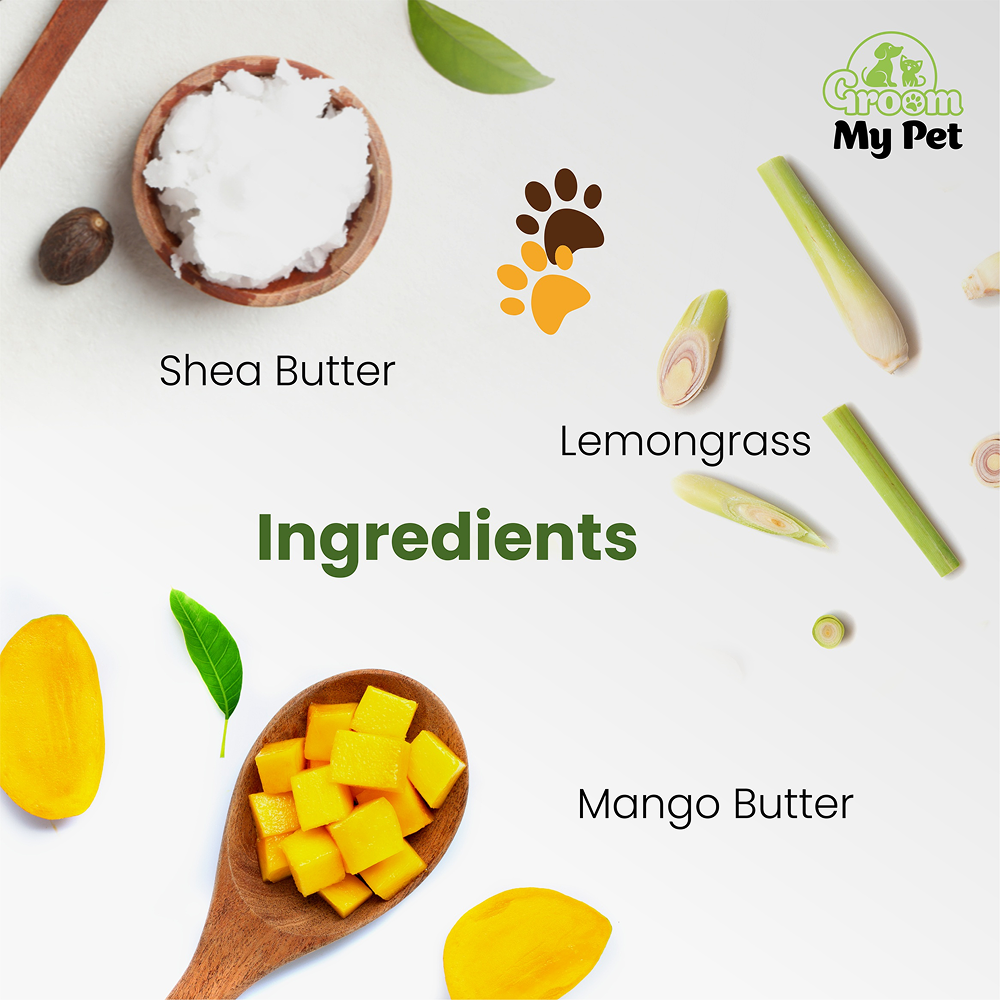 Groom My Pet Paw Butter for Dogs and Cats Both-Grooming Supplies Groom My Pet Dropship
