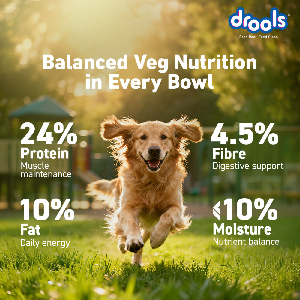 Drools 100% Vegetarian Puppy and Adult Dog Veg Dry Food (All Life Stages) Dogs- Dry Food Drools