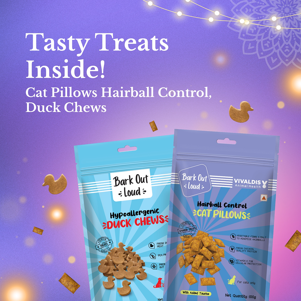 Bark Out Loud Festive Gift Box for Cats Cats-Treats & Others Bark Out Loud