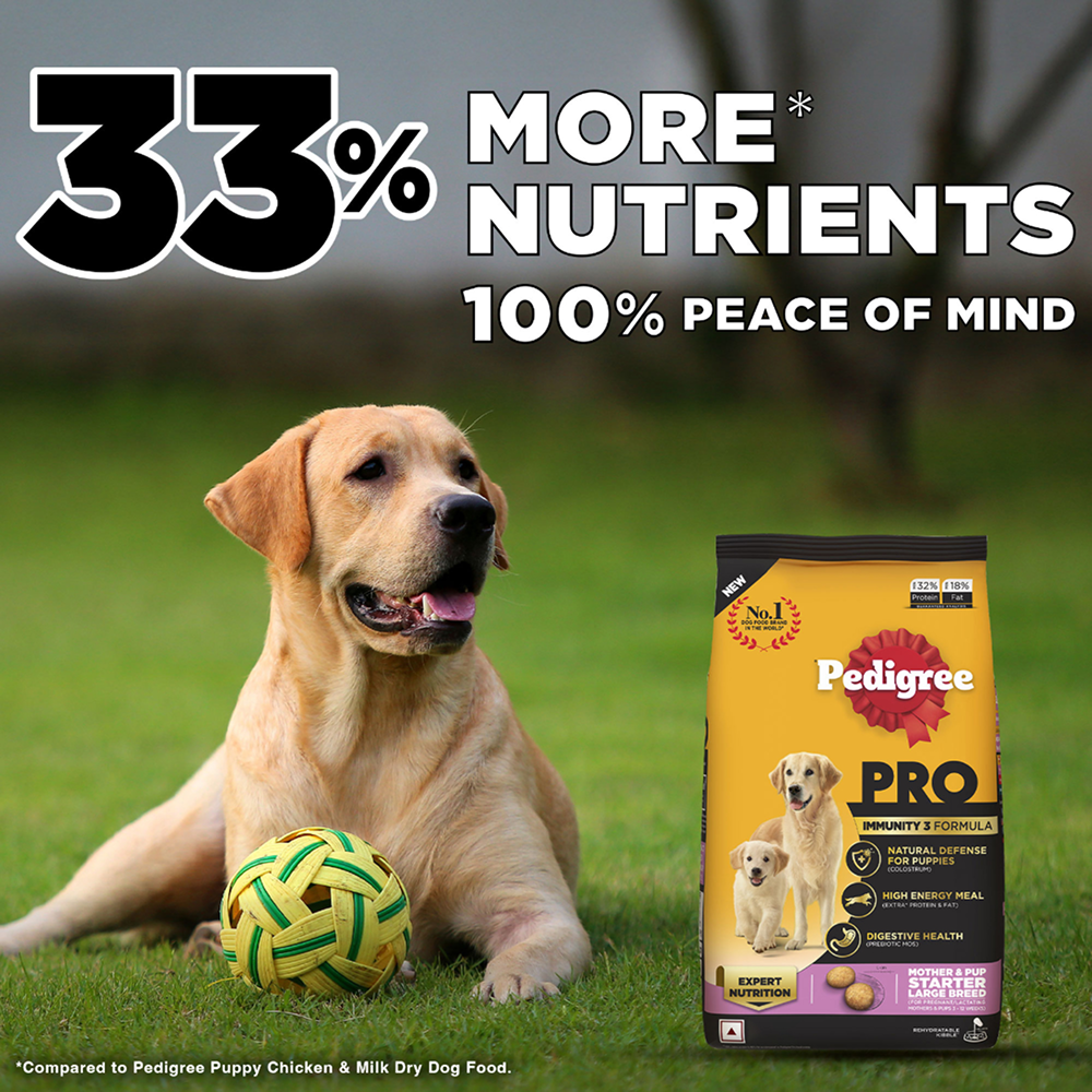 Pedigree PRO Expert Nutrition Lactating/Pregnant Mother & Puppy Starter(3 to 12 Weeks) Large Breed Dog Dry Food Dogs- Dry Food Pedigree PRO