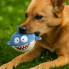 Talking Dog Club 3 in 1 Pop a Shark Bouncy Chew Toy for Dogs (Blue) Dogs-Toys Talking Dog Club Dropship
