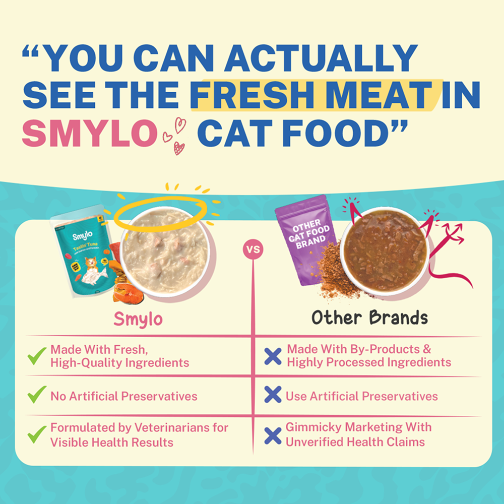 Smylo Tuna, Salmon & Pumpkin and Smylo Mackerel, Kanikama and Cranberry Adult Cat Wet Food Combo Cats-Wet Food Smylo