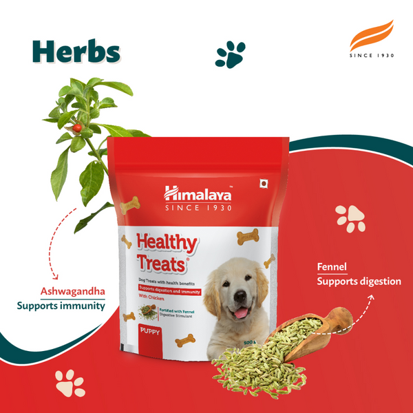 Himalaya Chicken Healthy Treats for Puppies