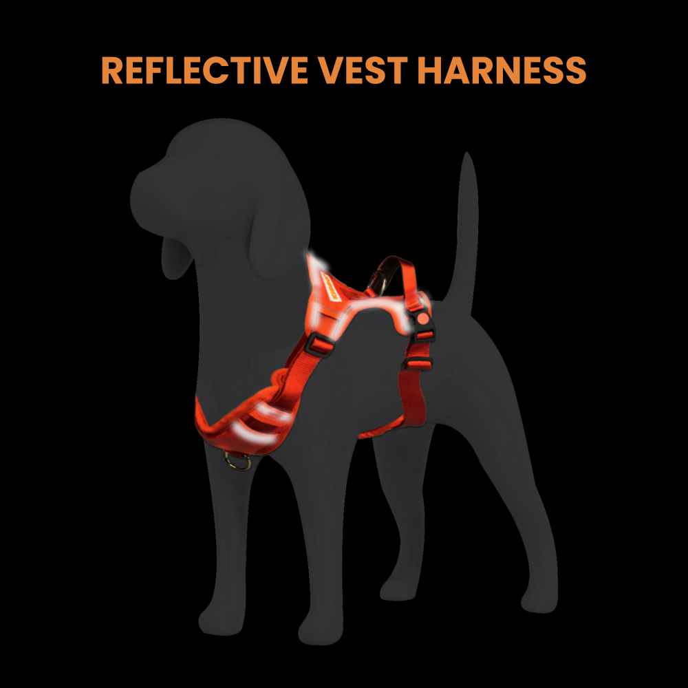 Kibbo Reflective Vest Harness with Dual Lock Buckle for Dogs (Red)