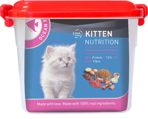 Drools Ocean Fish Kitten Cat Dry Food