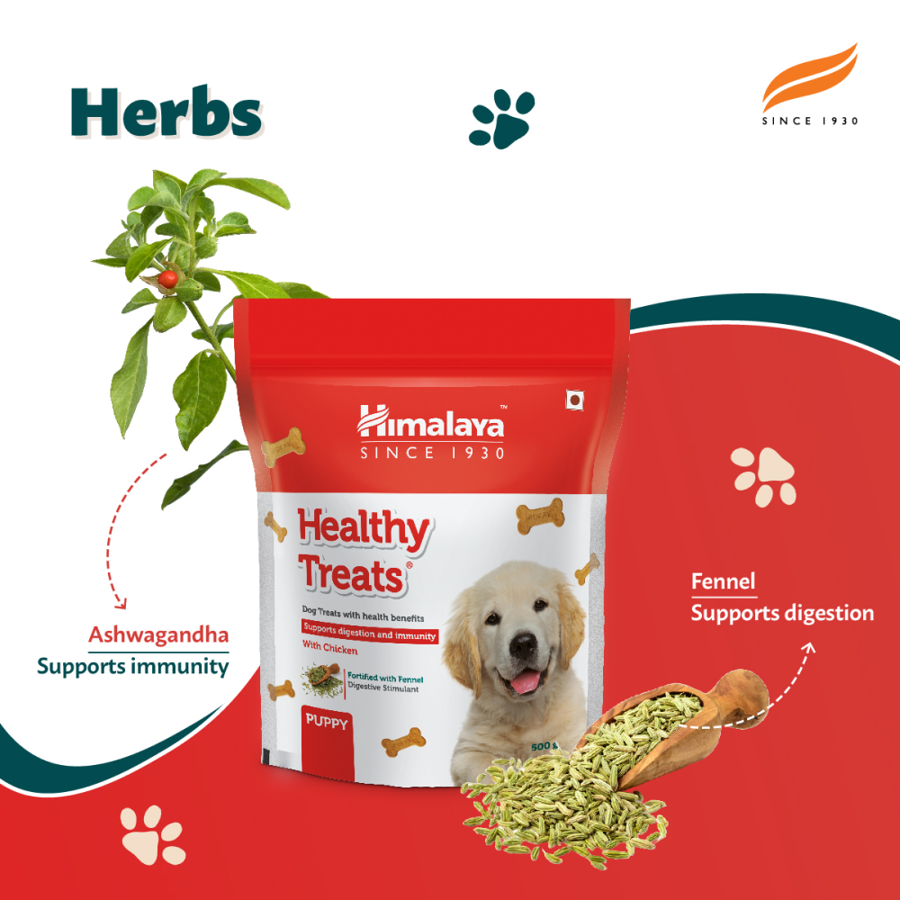 Himalaya Chicken & Milk Healthy Dry Food and Chicken Healthy Treats Puppy Combo Exclusive Combo Himalaya