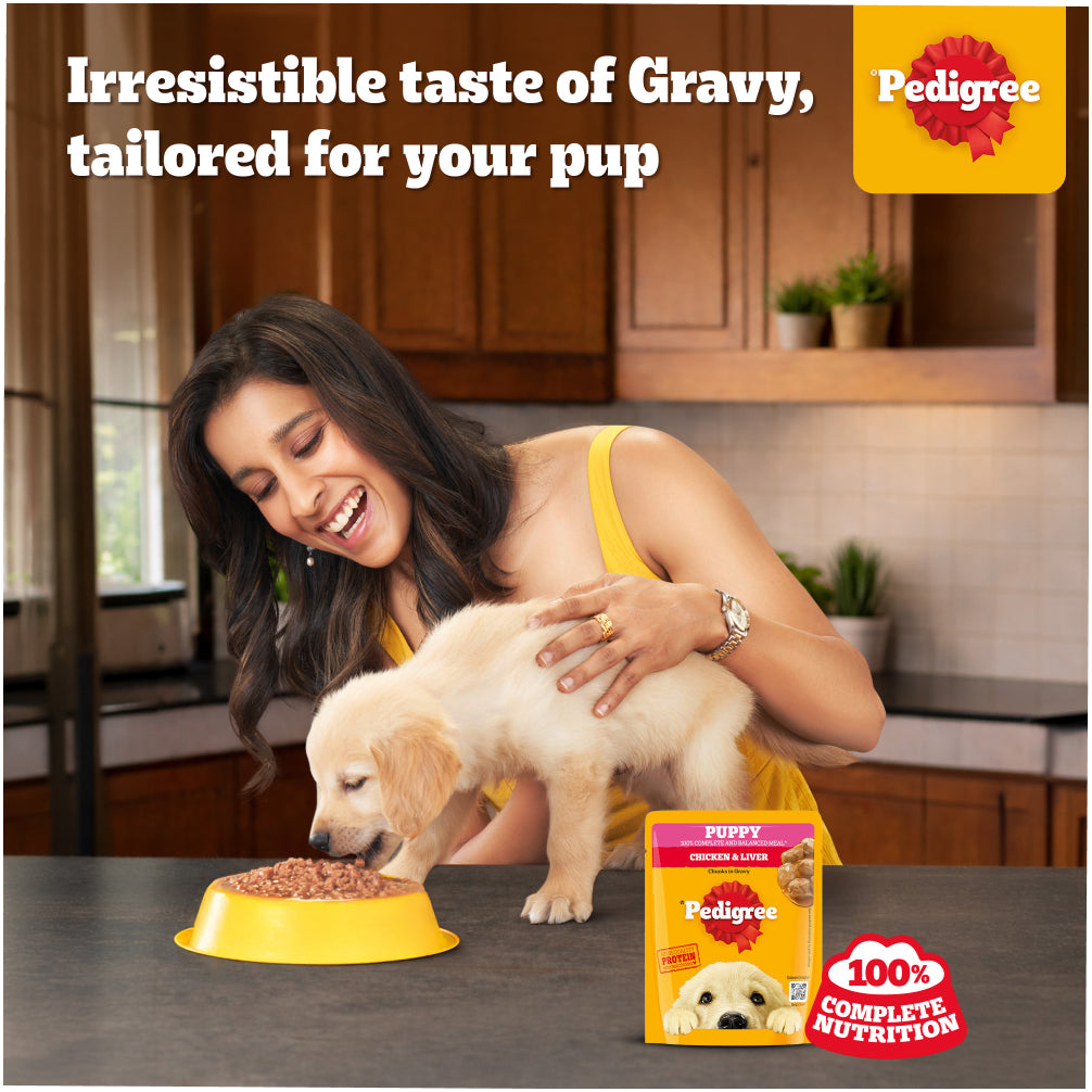 Pedigree Chicken & Liver Chunks in Gravy Puppy Wet Dog Food Dogs-Wet Food Pedigree