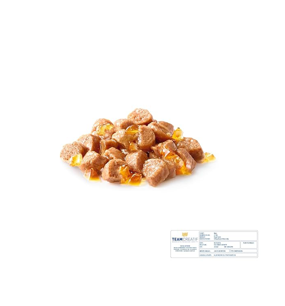 Royal Canin Kitten Wet Food in Gravy (85g Pouch)