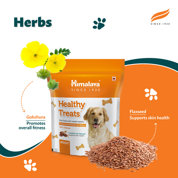 Himalaya Meat & Rice Healthy Pet Dry Food and Chicken Healthy Treats Adult Dog Combo