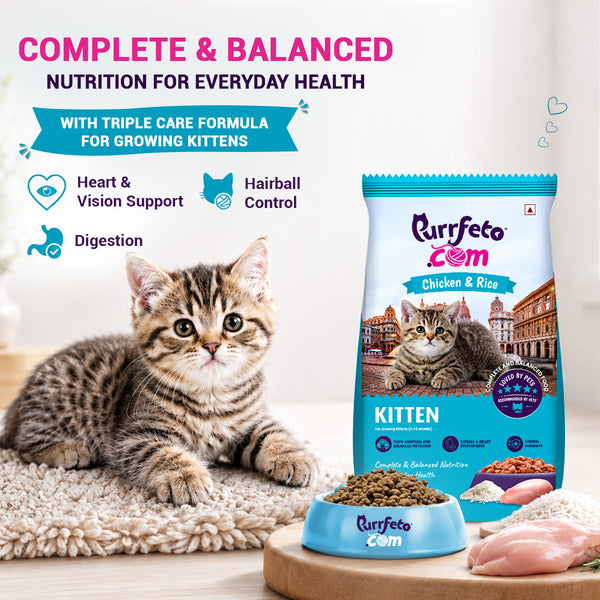 Purrfeto.com Chicken and Rice Kitten Cat Dry Food
