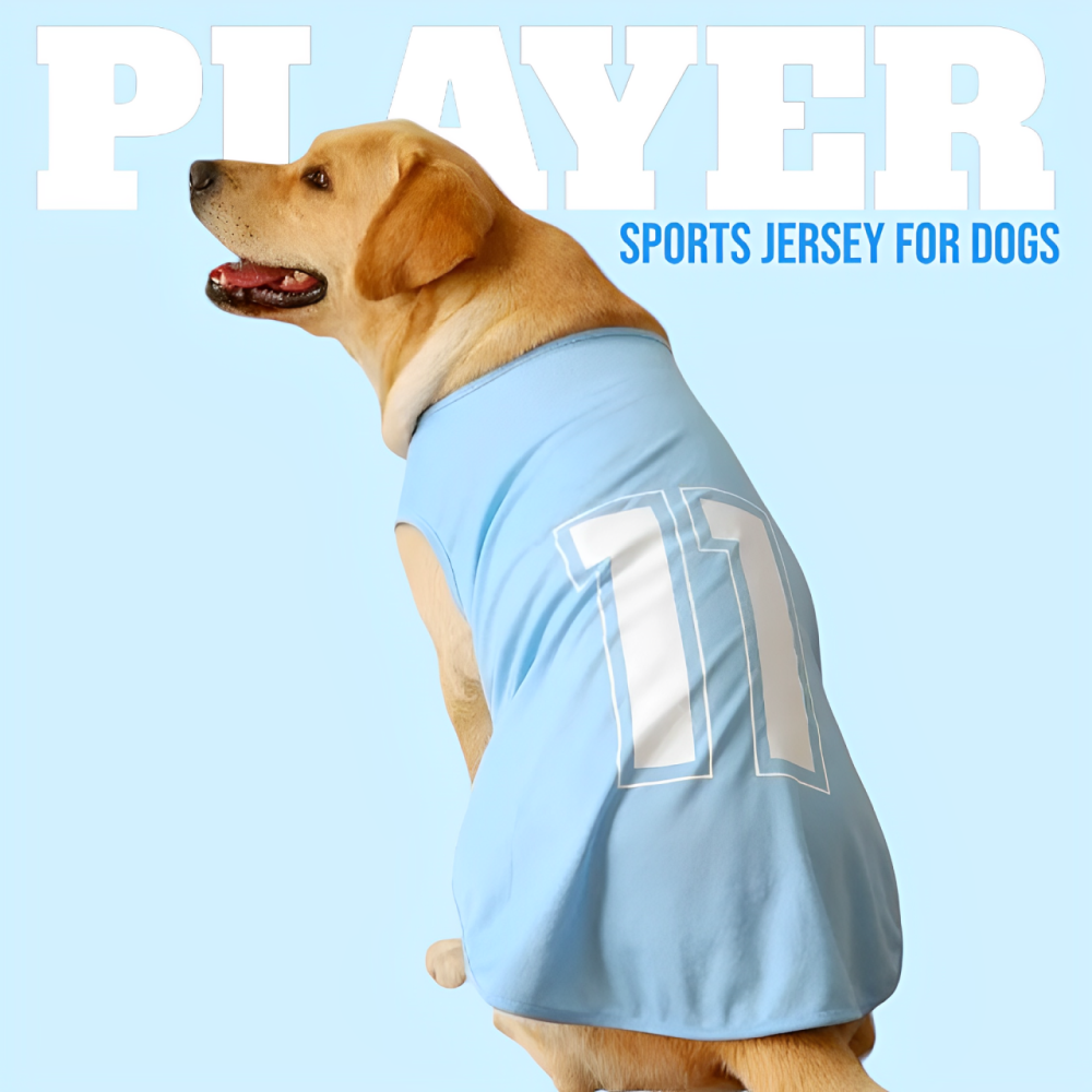 Talking Dog Club Player Ltd Edition Sports Tshirt for Dogs (Blue)