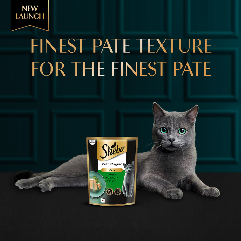 Sheba Maguro Pate Rich Premium Adult Fine Cat Wet Food Cats-Wet Food Sheba