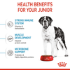 Royal Canin Giant Junior Dog Dry Food Dogs- Dry Food Royal Canin