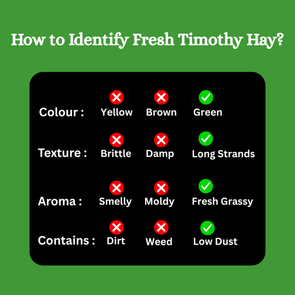FloofYou Premium Timothy Hay for Small Animals