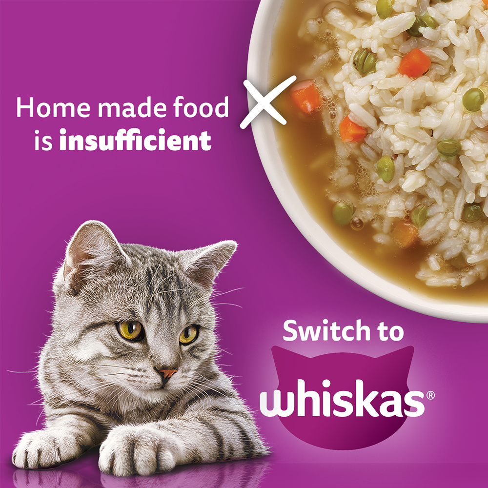 Whiskas Adult Complete Meal Combo |Tuna Dry & Wet Cat Food Cats- Dry food Whiskas