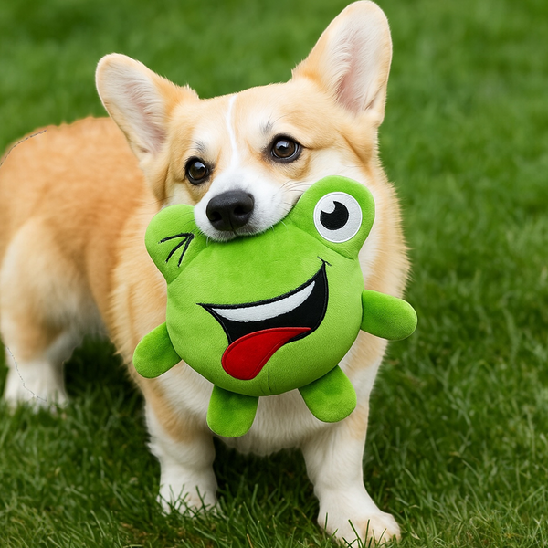 Talking Dog Club 3 in 1 Pop a Frog Bouncy Chew Toy for Dogs (Green)