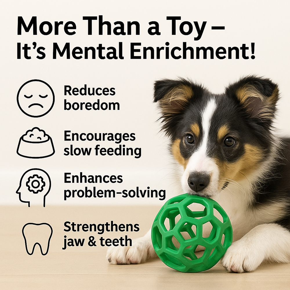Talking Dog Pop Hollow Elastic Interactive Busy Ball Toy for Dogs (Green) Dogs-Toys Talking Dog Club Dropship