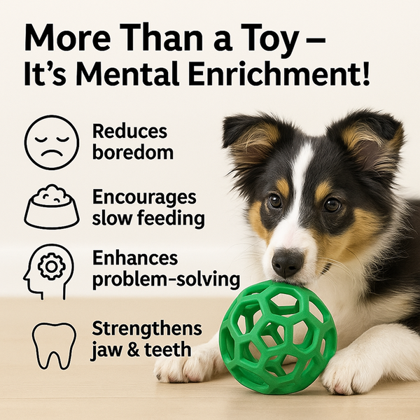 Talking Dog Pop Hollow Elastic Interactive Busy Ball Toy for Dogs (Green)