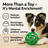 Talking Dog Pop Hollow Elastic Interactive Busy Ball Toy for Dogs (Green) Dogs-Toys Talking Dog Club Dropship