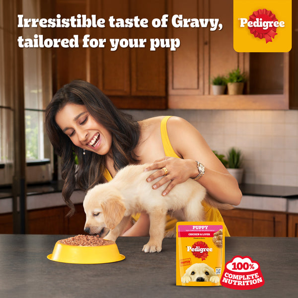 Pedigree Chicken & Liver Chunks in Gravy Puppy Wet Dog Food
