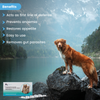 Wiggles Deworminator Deworming Tablets for Dogs and Cats Both-Health & Wellness Wiggles