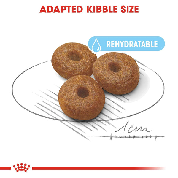 Royal Canin Maxi Starter Dog Dry Food