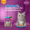 Sheba Tuna Pumpkin & Carrot In Gravy and Whiskas Tuna in Jelly Cat Wet Food Combo Exclusive Combo Exclusive Combo