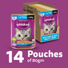 Whiskas Tuna in Jelly Meal Adult Cat Wet Food Cats-Wet Food Whiskas