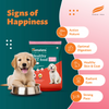 Himalaya Chicken & Milk Healthy Pet Puppy Dry Food Dogs- Dry Food Himalaya