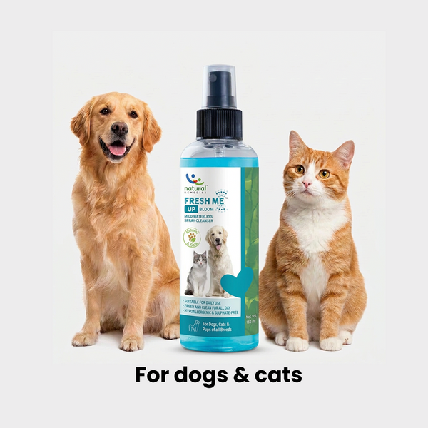 Natural Remedies Fresh Me Up Bloom Dry Shampoo for Dogs and Cats