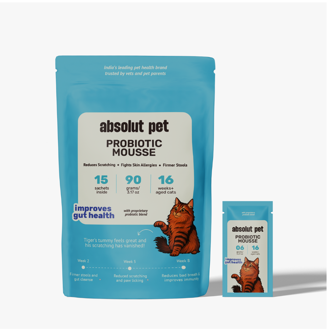 Absolut Pet Probiotics Gut Health Creamy Supplements for Cats Cats-Health & Wellness Absolut Pet 15 Sachets