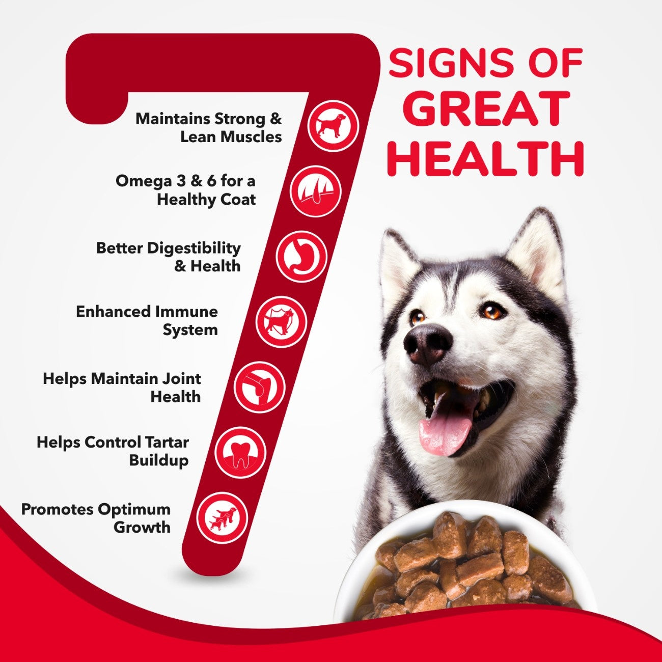 Active Real Chicken & Chicken Liver Chunks in Gravy Adult Dog Wet Food (Buy 1 Get 1) Dogs-Wet Food Active