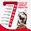 Active Real Chicken & Chicken Liver Chunks in Gravy Adult Dog Wet Food (Buy 1 Get 1) Dogs-Wet Food Active