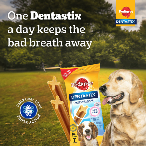Pedigree PRO Active Adult Large Breed Dry Food, Pedigree Dentastix Oral Care Adult Dogs Treat Combo