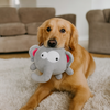 Talking Dog Club 3 in 1 Pop a Ele Bouncy Chew Toy for Dogs (Grey) Dogs-Toys Talking Dog Club Dropship