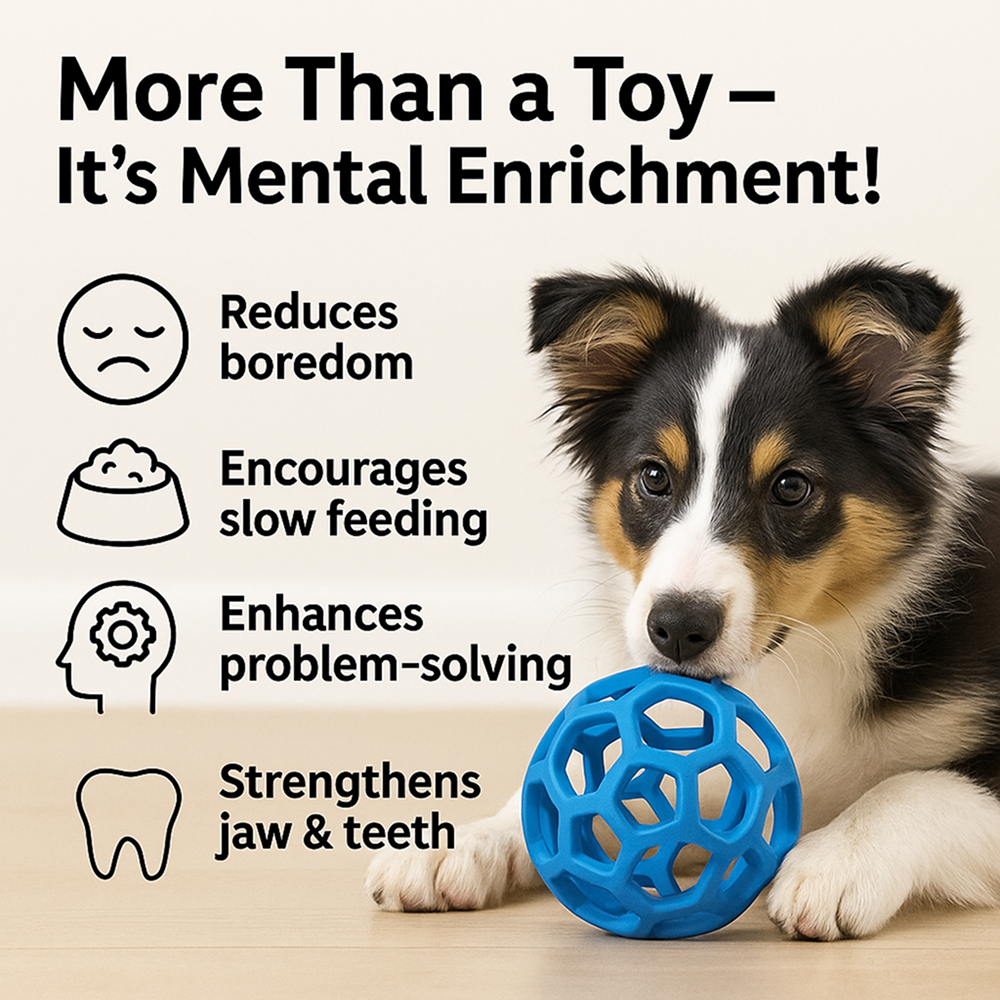 Talking Dog Pop Hollow Elastic Interactive Busy Ball Toy for Dogs (Blue) Dogs-Toys Talking Dog Club Dropship