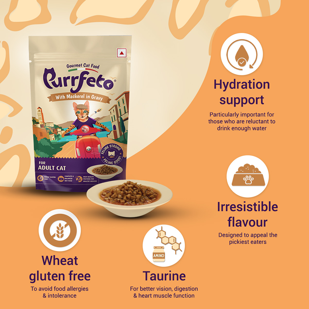 Purrfeto Chicken & Salmon Dry and Mackerel in Gravy Adult Cat Wet Food Combo Exclusive Combo Purrfeto