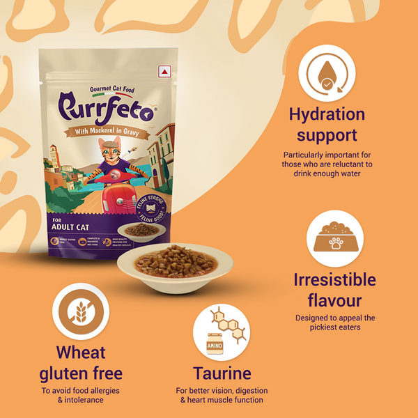 Purrfeto Chicken & Salmon Dry and Mackerel in Gravy Adult Cat Wet Food Combo